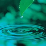 アイスターグループ全体のイメージ「水の輪グリーン（デフォルトサムネイルとしても使用）」グループ会社全体の会社案内のページ。