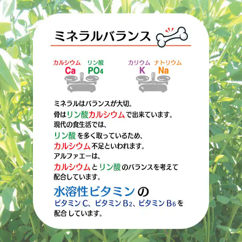 アルファエー栄養成分概要の説明画像：アルファエーはカルシウムとリン酸のバランスを考えて配合しています。水溶性ビタミンのビタミンB2，B6，ビタミンCも配合、日々の水分補給と運動後の水分補給に、美容と健康を気づかう方のサポートにも最適です！